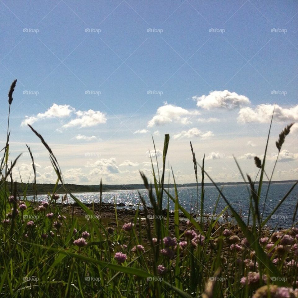 beach sweden ängelholm playa de vejbystrand by smartini65