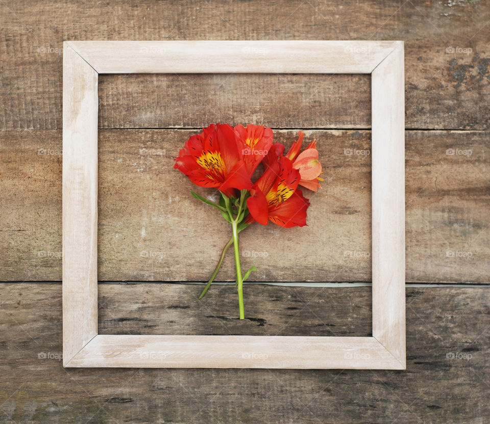 Red flowers in rustic frame.