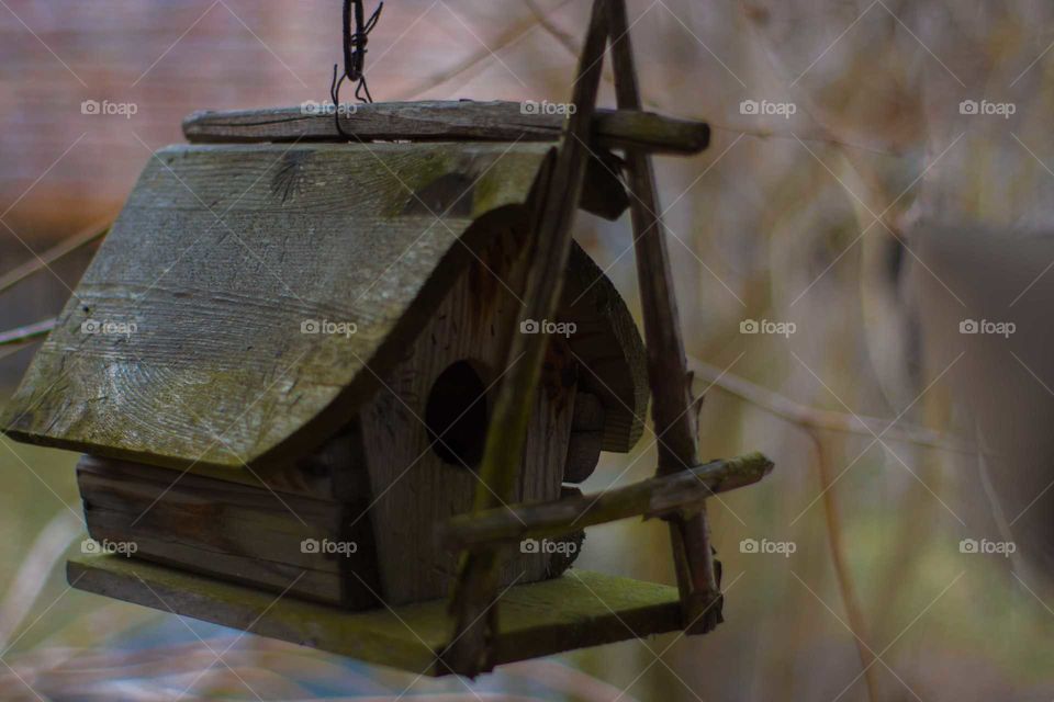 bird house nature