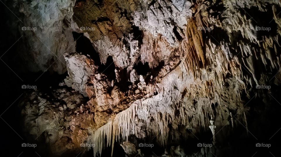 Meraviglie della natura