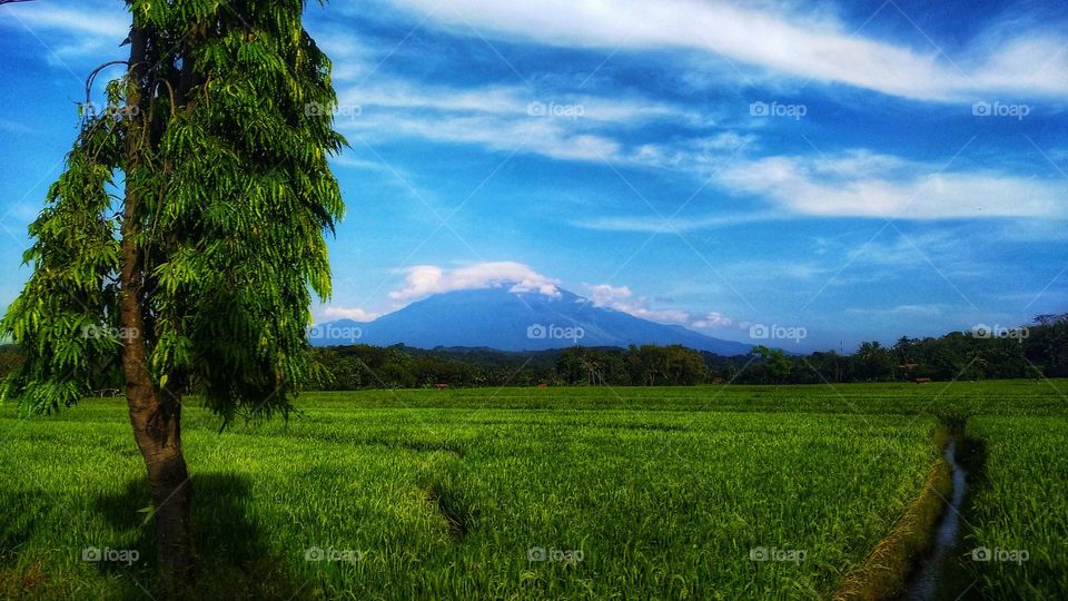 Nice view of the peswahan and surroundings