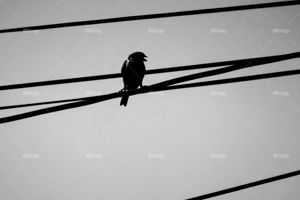 Just ask for a break along the way.