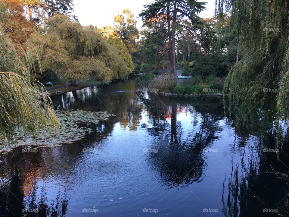 Autumn in the park