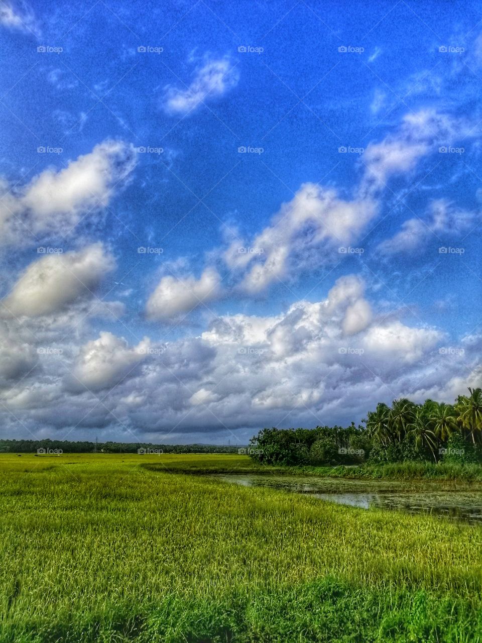 From Gods on Country