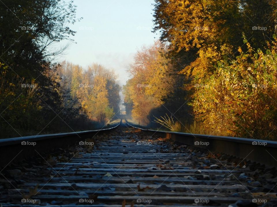 Fall color on the train tracks