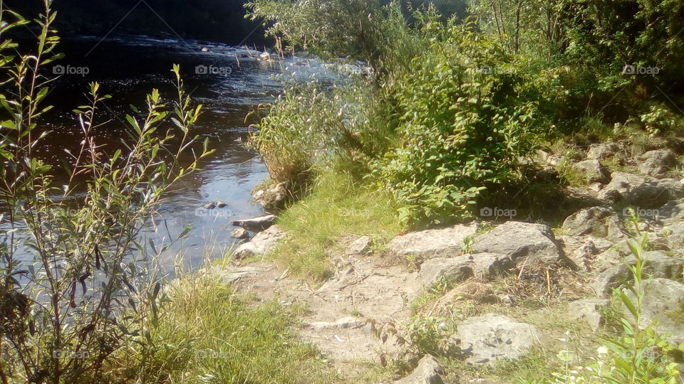 A Moment of Silence at the river