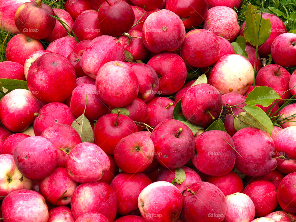 red apples