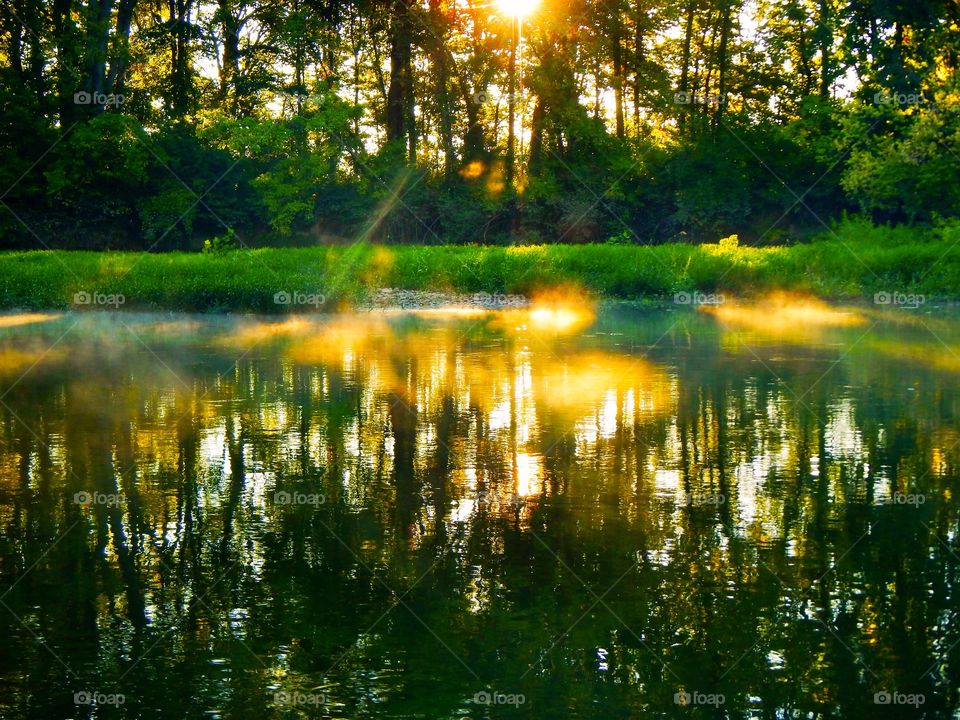 Sunrise views and some fog in Indiana 