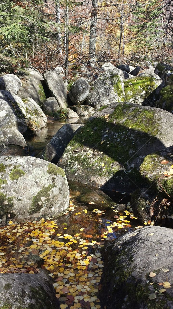 Autumn rocky landscape