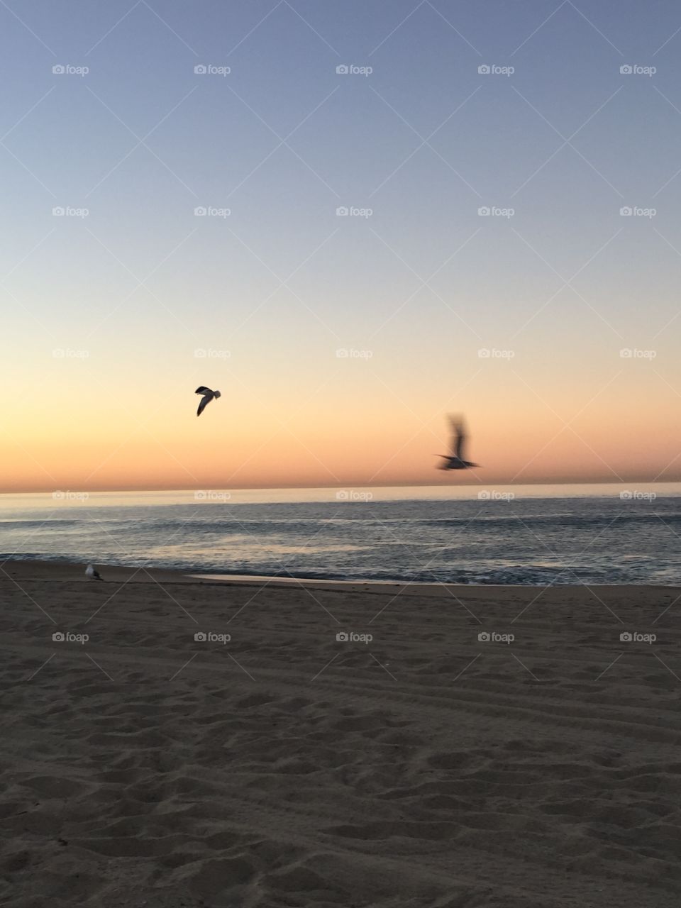 Beginning of a Sunrise Over the Beach 