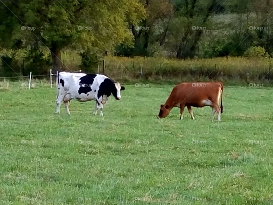 Driving the Back Roads and enjoying everything around us