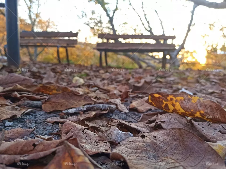 The journey of a lifetime