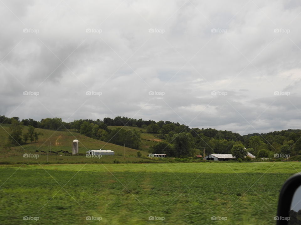 Landscape, No Person, Tree, Agriculture, Cropland