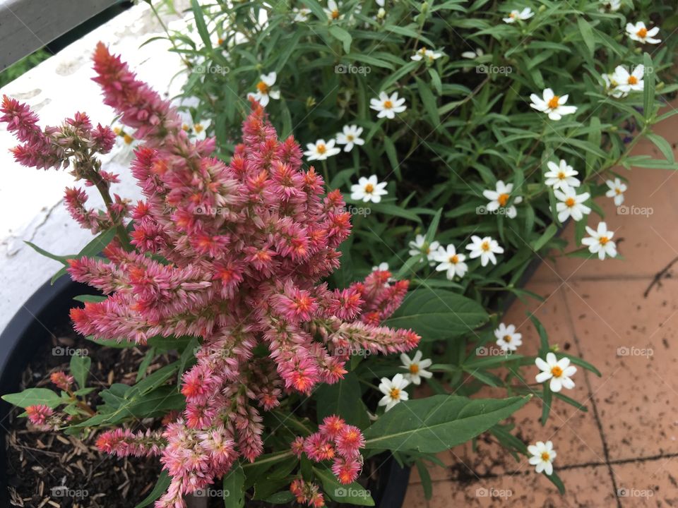 Give it a time to......