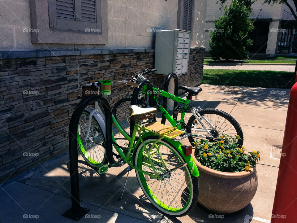 Flowers and Bikes