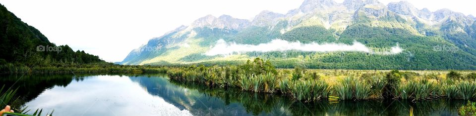 New Zealand reflections