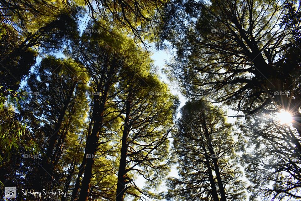 Wildness is not a luxury but a necessity of the human spirit specially in Summer