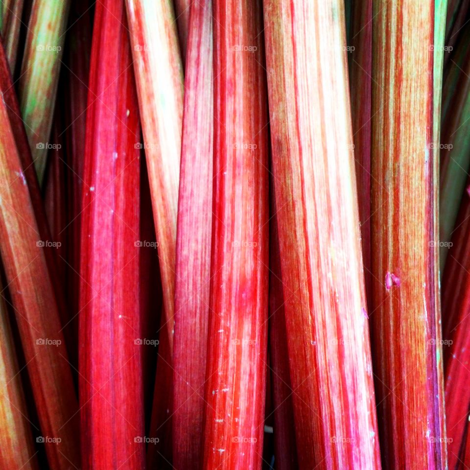 Rhubarb. Rhubarb close up