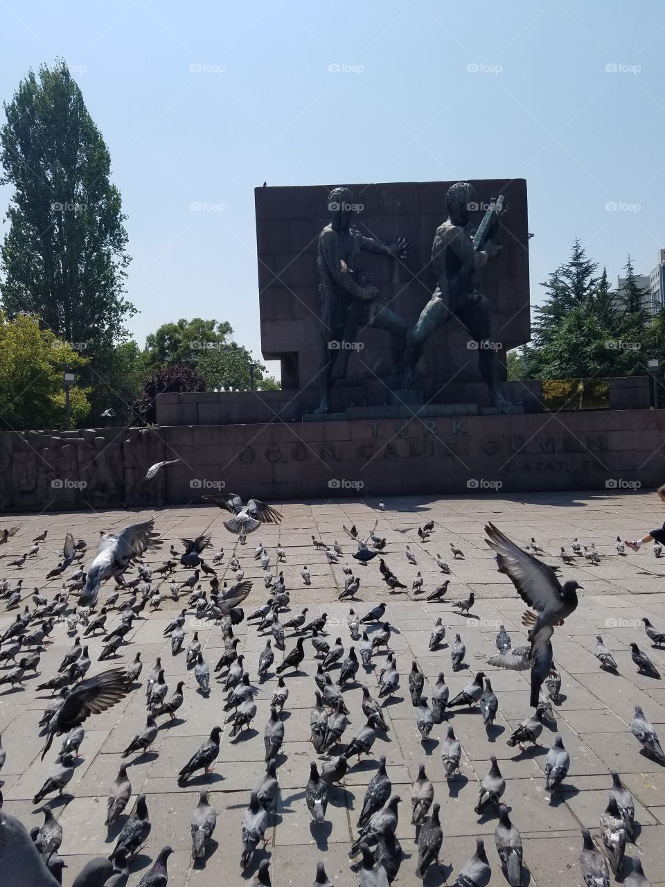 pigeons in kizilay square in Ankara Turkey