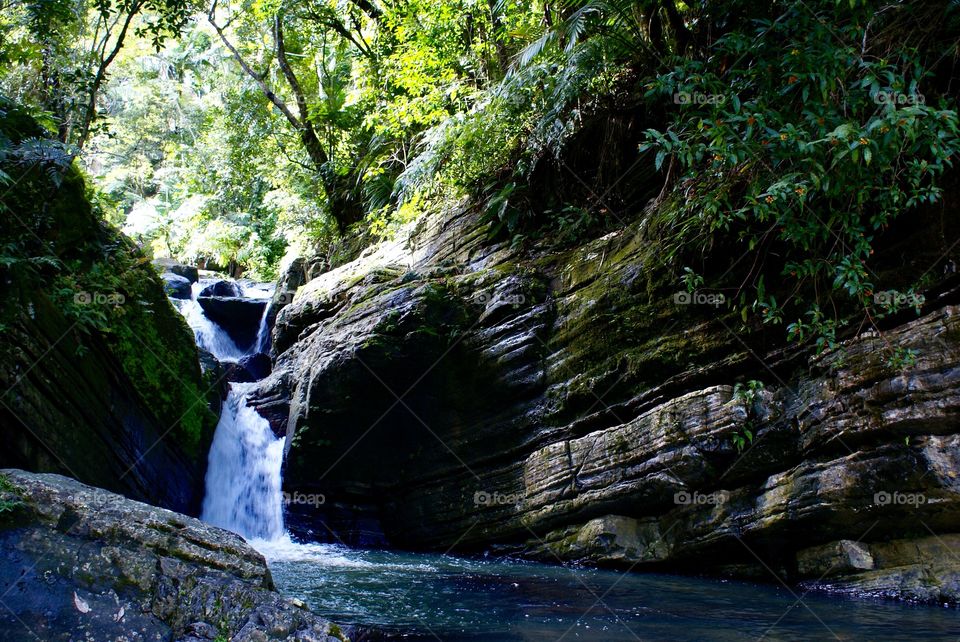 Waterfall in El Yunque, PR