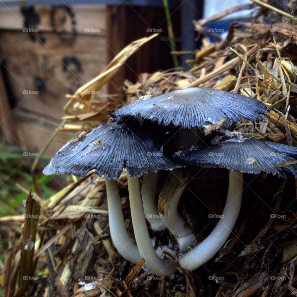 You get many chances in Life, but you only get one chance in Death...