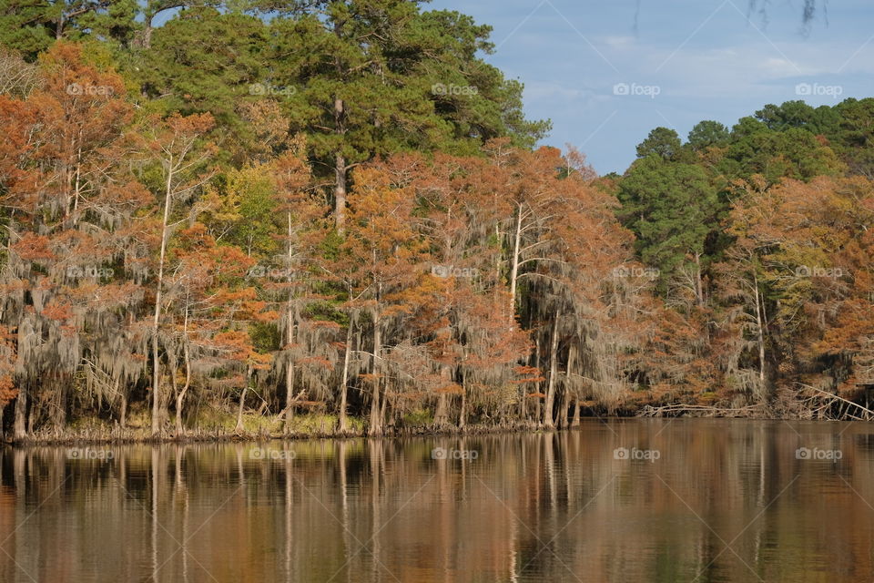 Big Cypress Bayou
Uncertain Texas