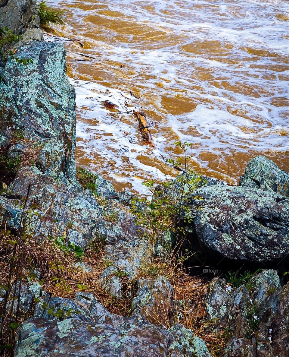 Potomac River