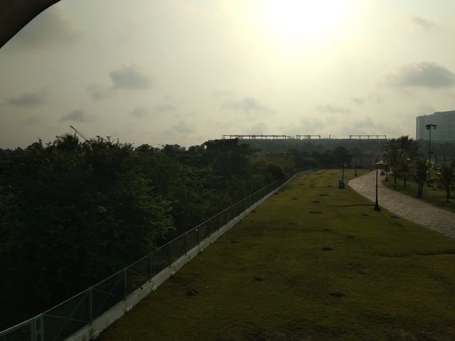 View from Up Above