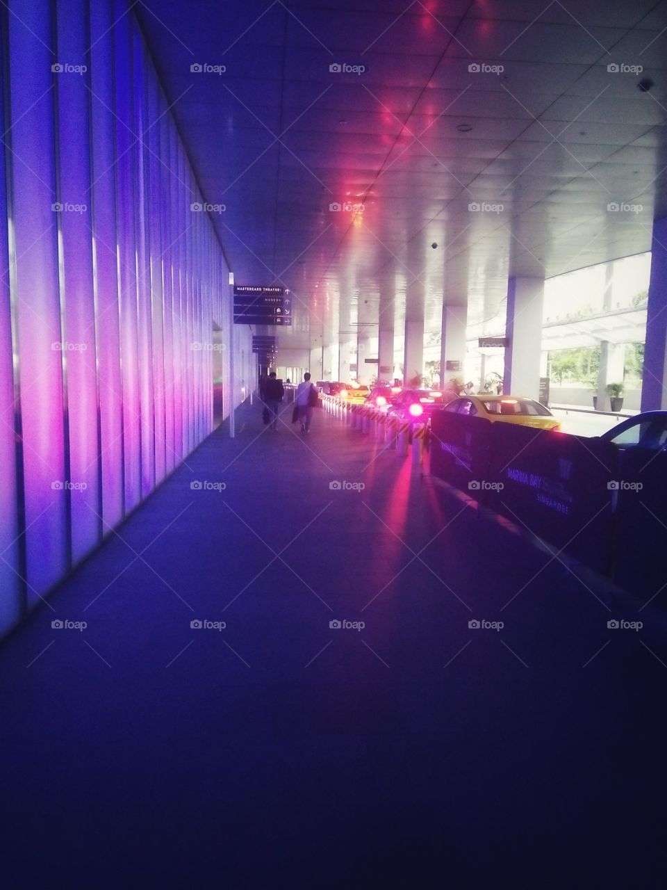 The Rainbow Light Life Sugar 