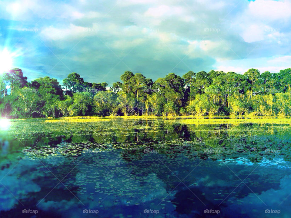 Lakeside view 