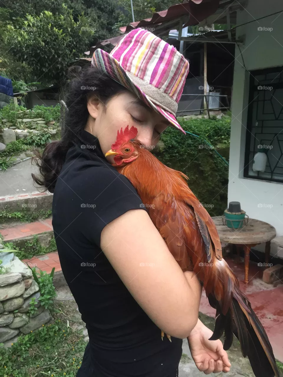 Pet