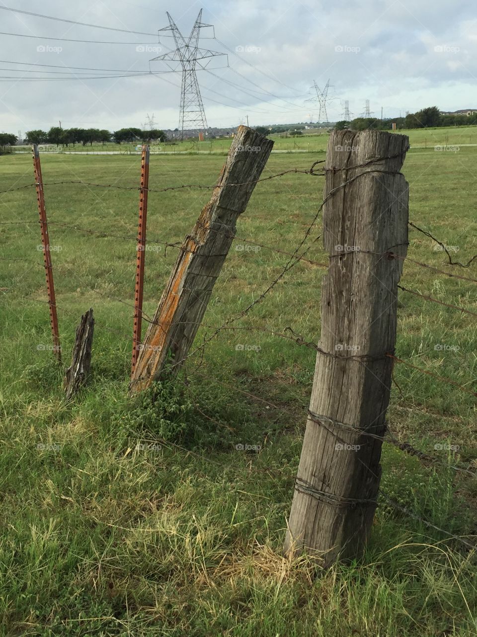 Fence line