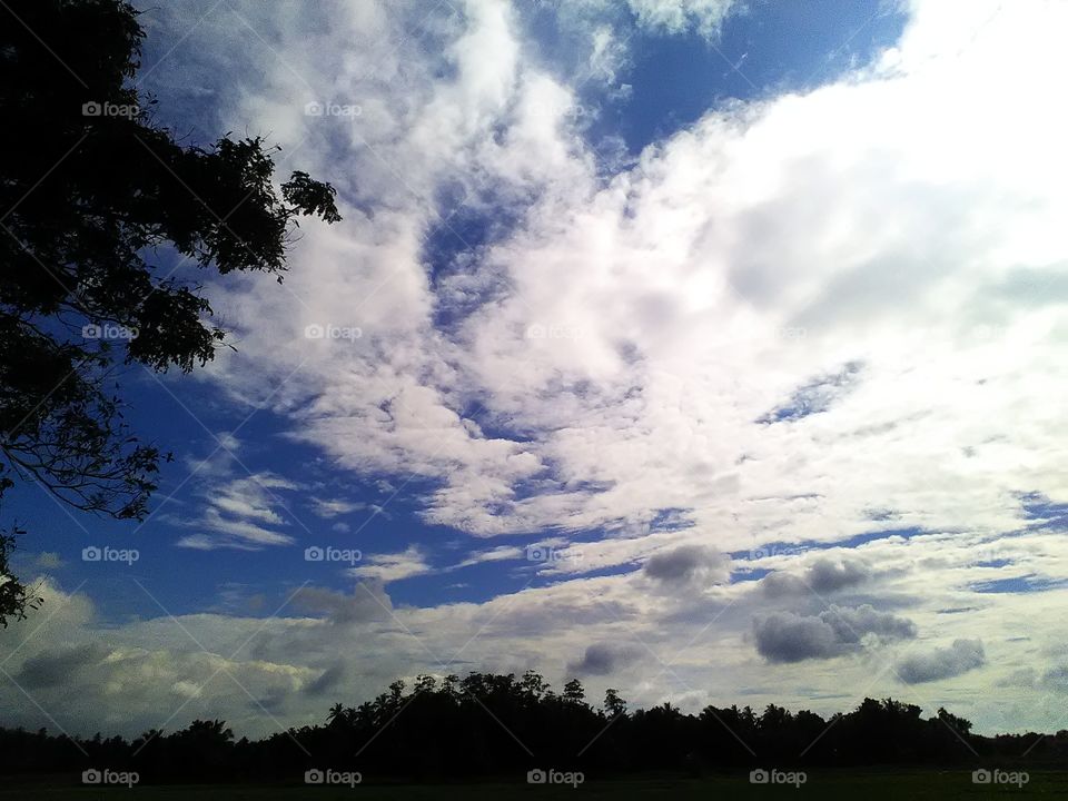 Lovely evening by the side of  the paddy fields and the river