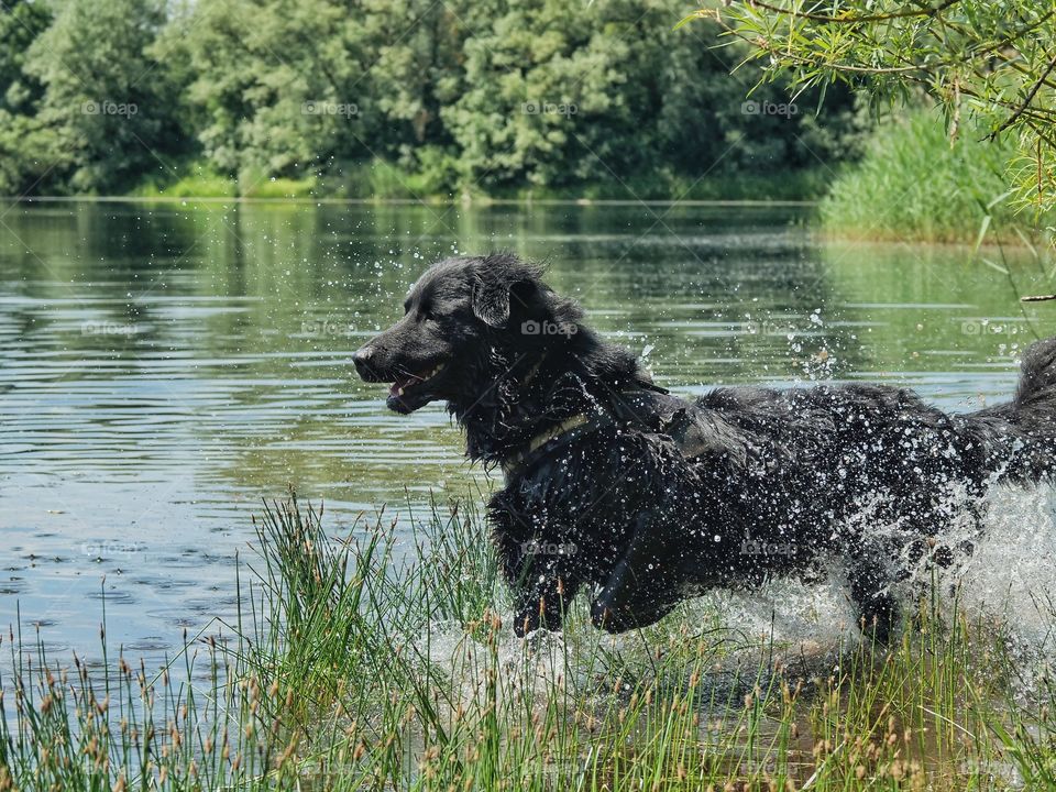 Cooling down