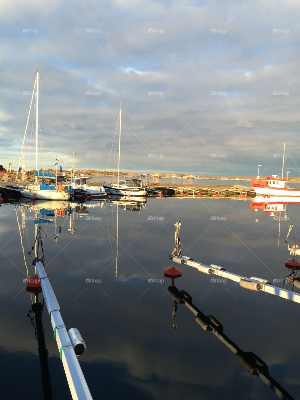 Boats moored at harbour