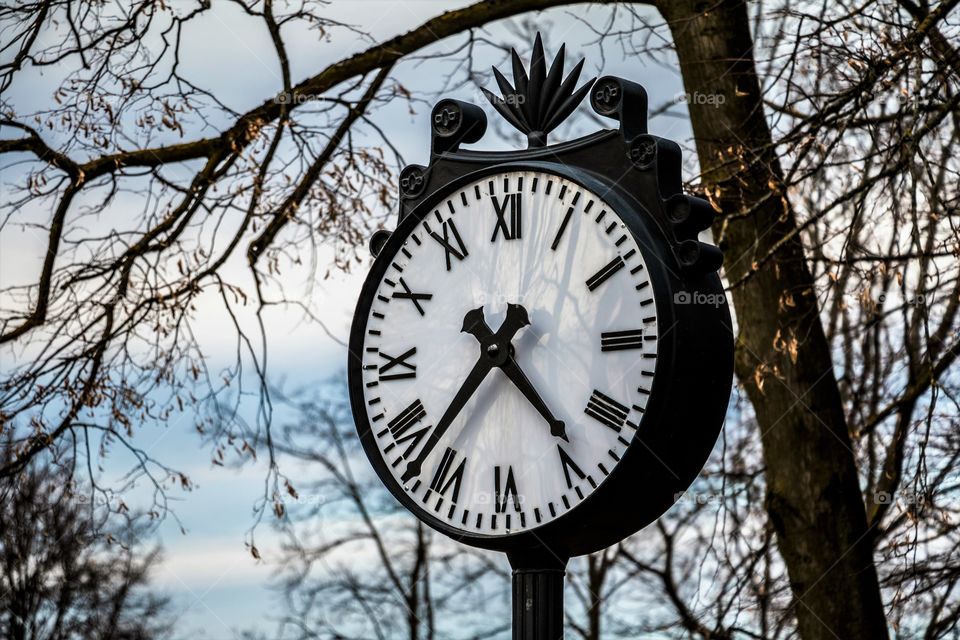 Town Clock in the park