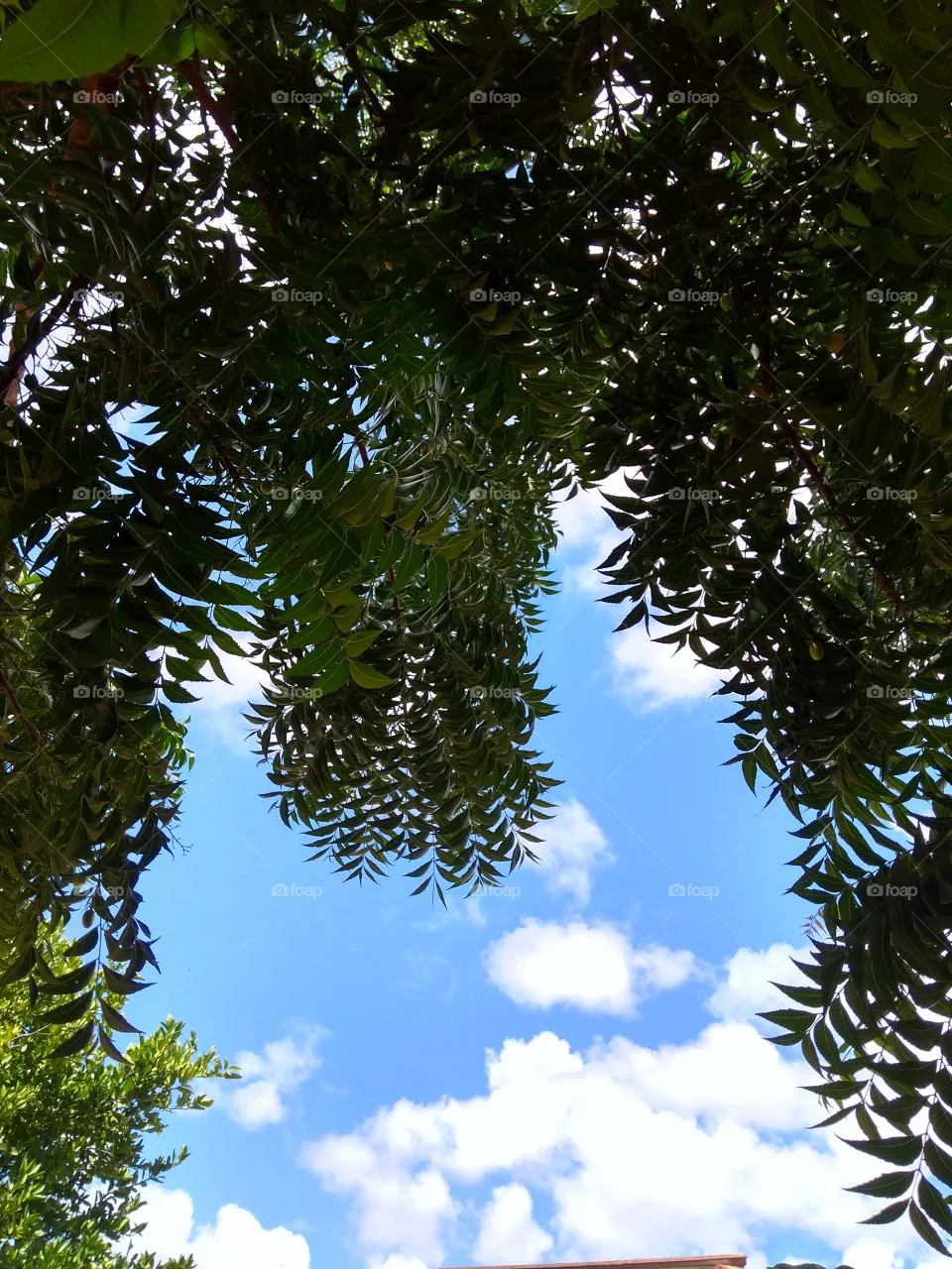 sky