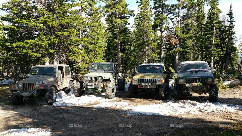 Look how much dirt is on those Jeeps