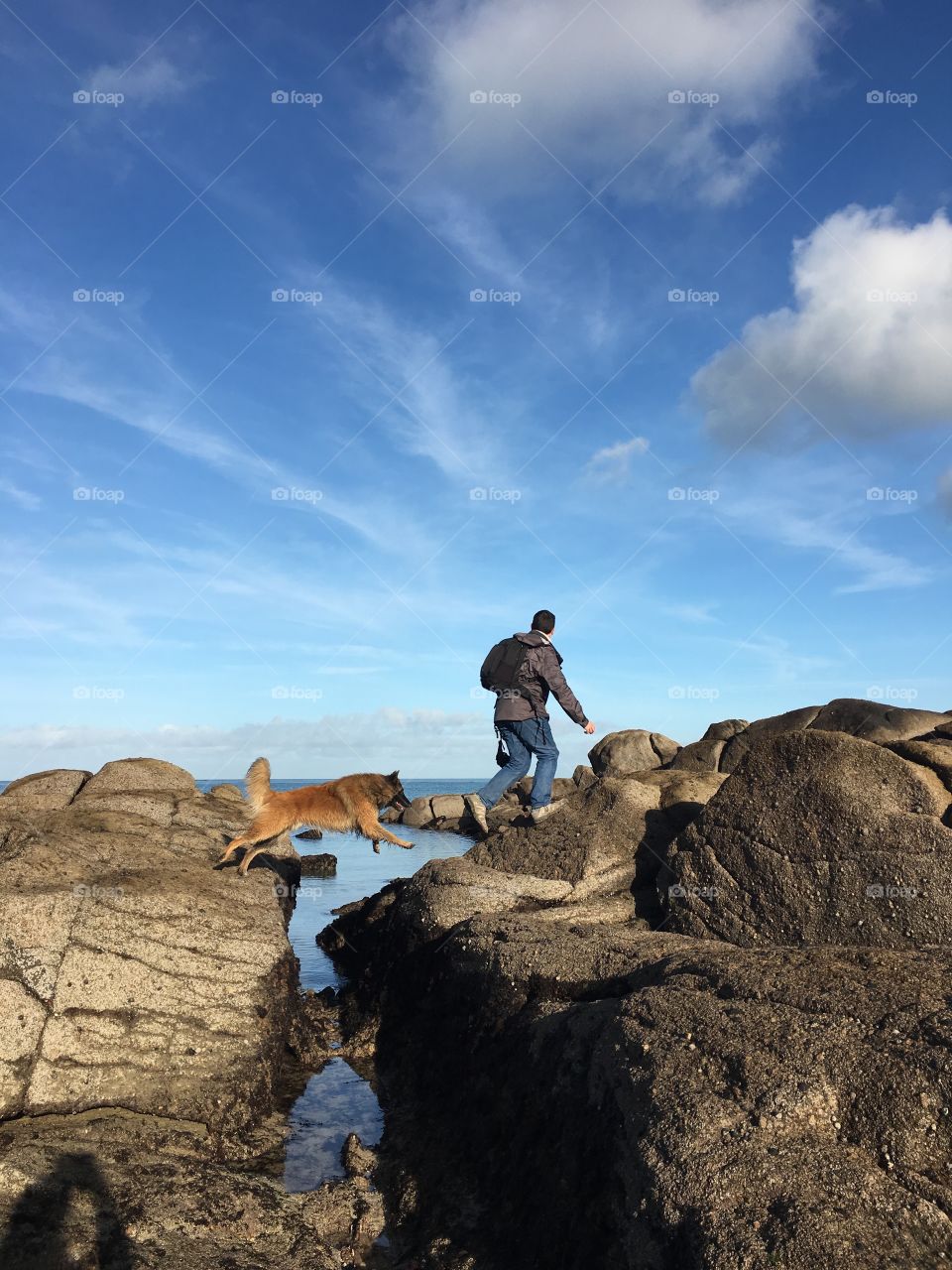Max the dog and his friend jumping on the rocks