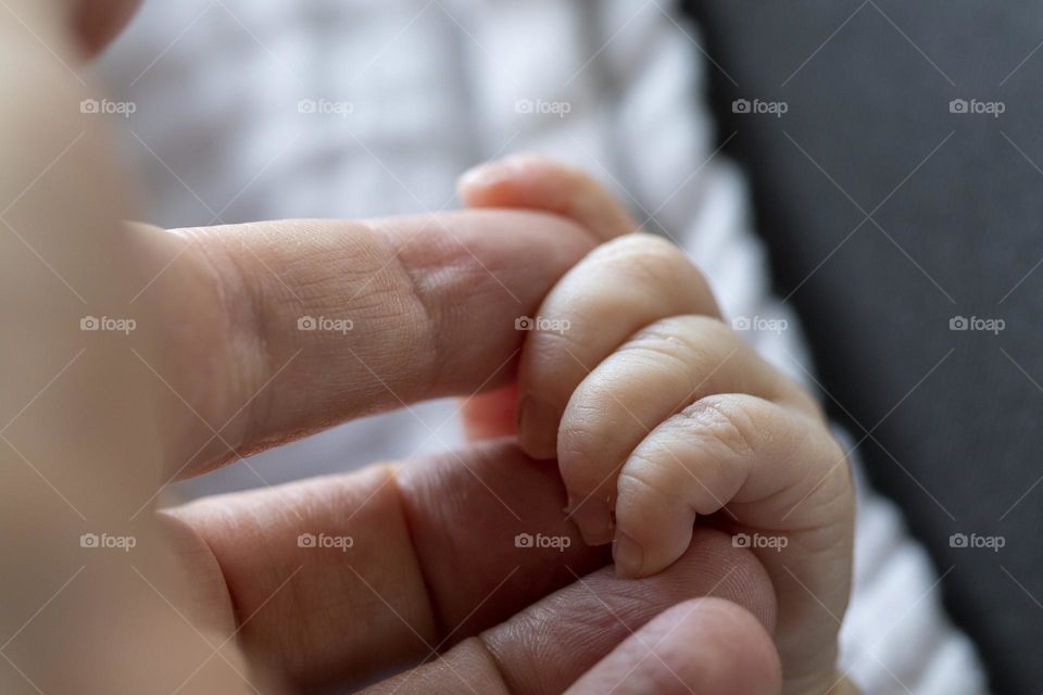 a close up portrait of the fingers of a tiny hand of a small baby grabbing the fingers of the hand of its parent.