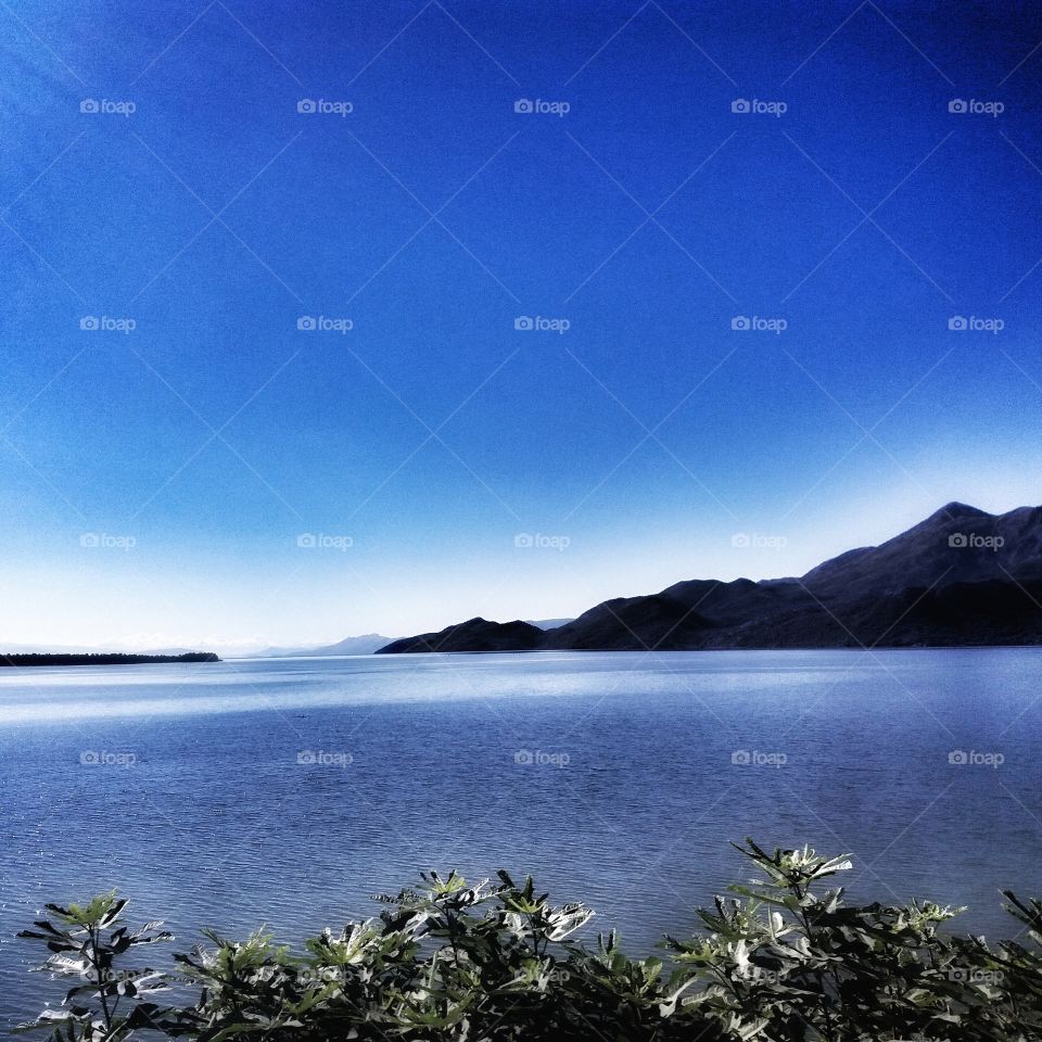 Skadar lake in Montenegro