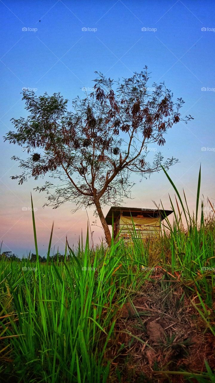 small hut in a secluded place