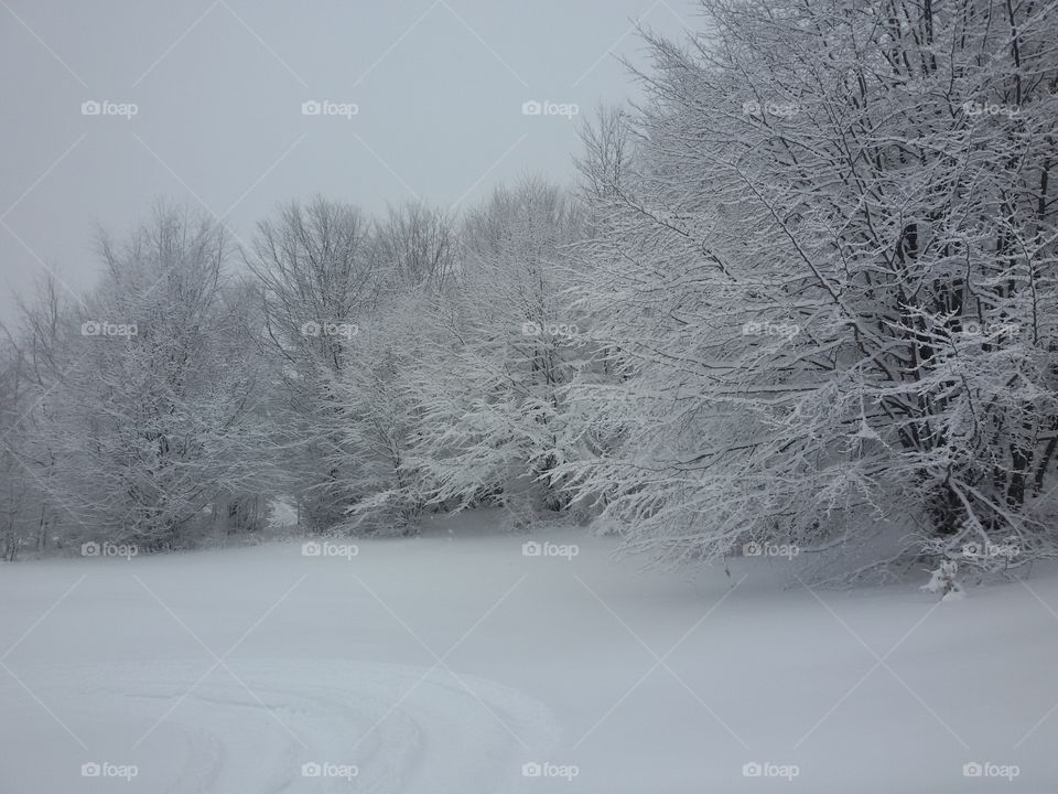 snow time, winter sports, snowy mountain, cold weather, winter landscape