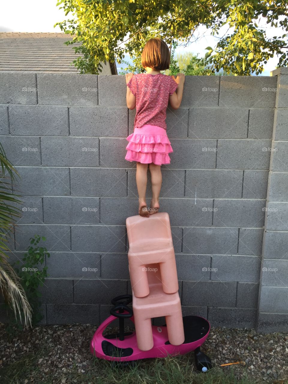 Looking over the fence 