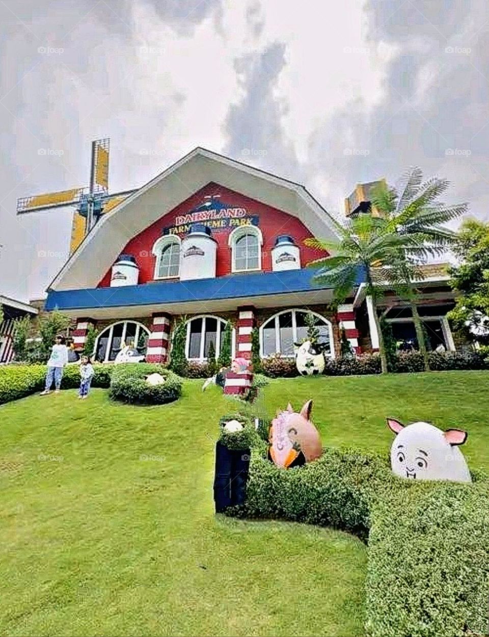 August 15th 2023.  A beautiful and attractive view in the garden.