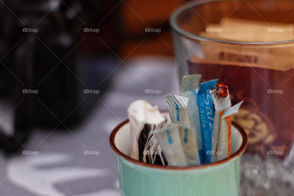 A small ladybug crawls on salt and sugar sticks in a cup