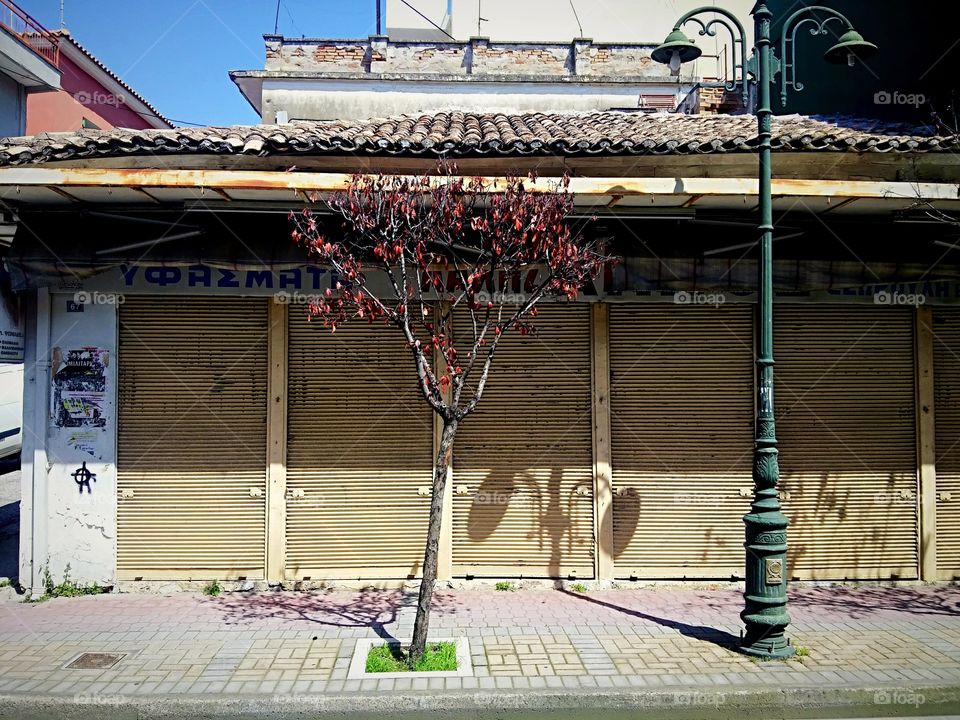 closed shop, tree, pillar light