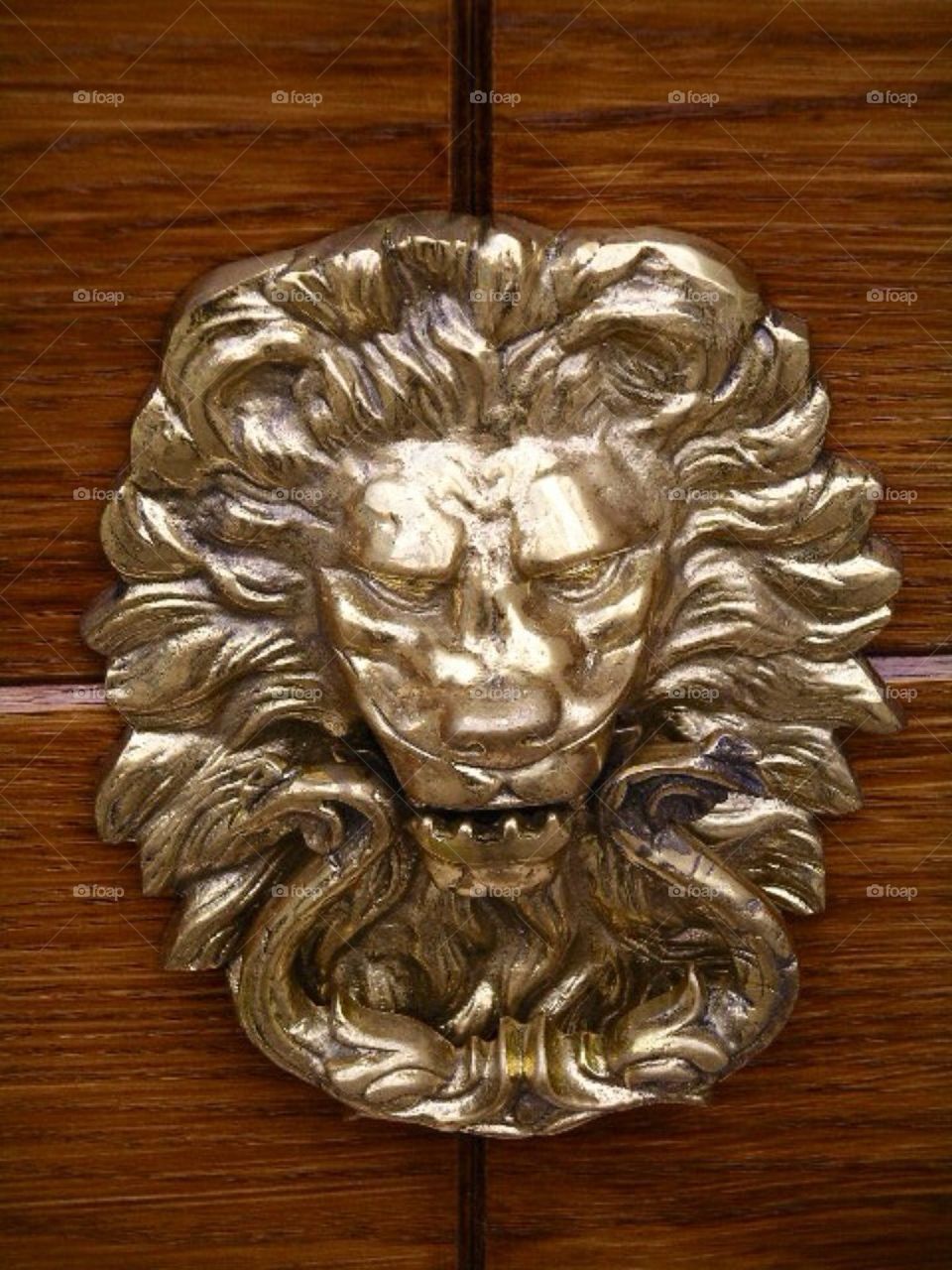 Lion Door knocker 
