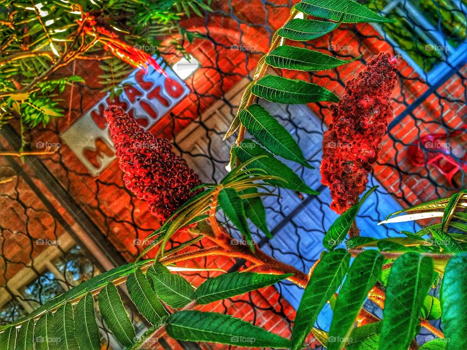 great time to have a refreshing drink😁