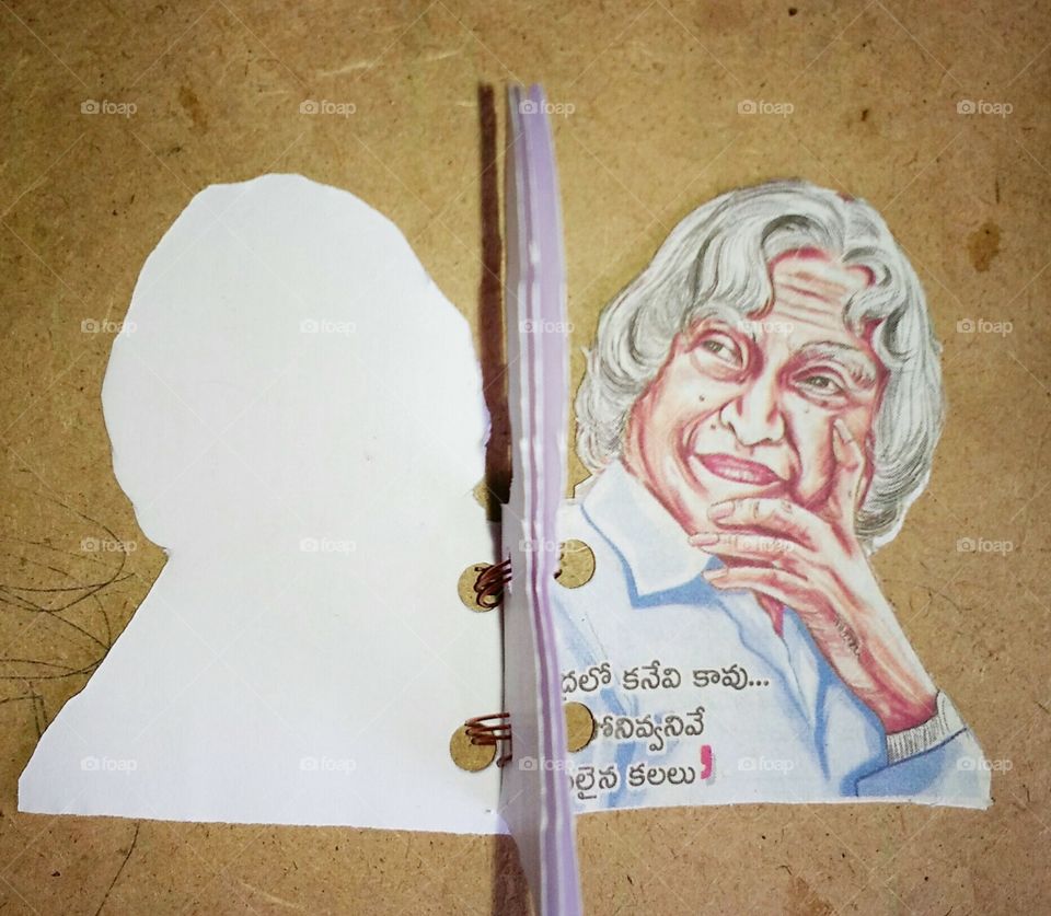 the face book of great INDIAN scientist, Dr. ABDHUL KALAM.  it's the first book entire the worldwide on